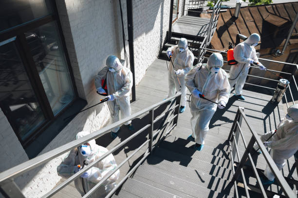 Best Mold Damage Restoration  in Portage, IN
