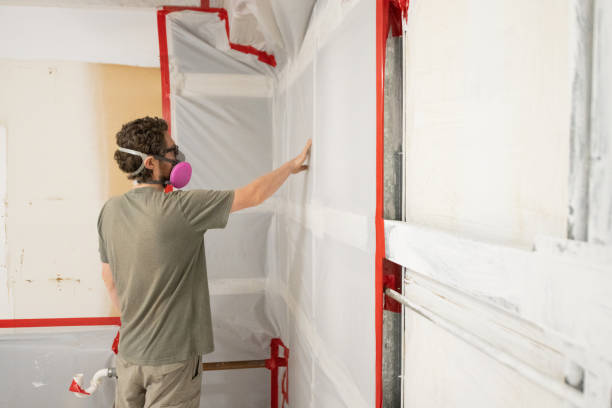 Best Mold Damage Restoration  in Portage, IN