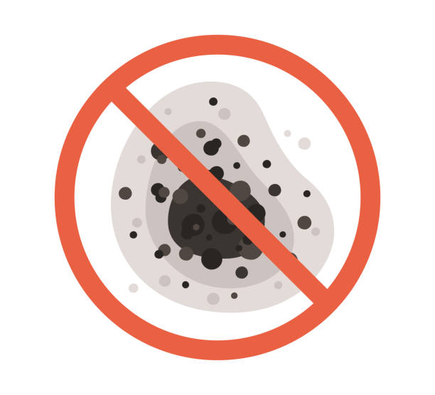 Best Basement Mold Removal  in Portage, IN