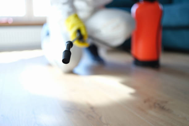 Best Environmental Consulting for Mold Prevention  in Portage, IN